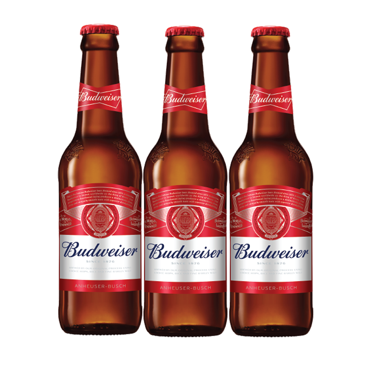 Budweiser Beer 330ml Bottle x 3