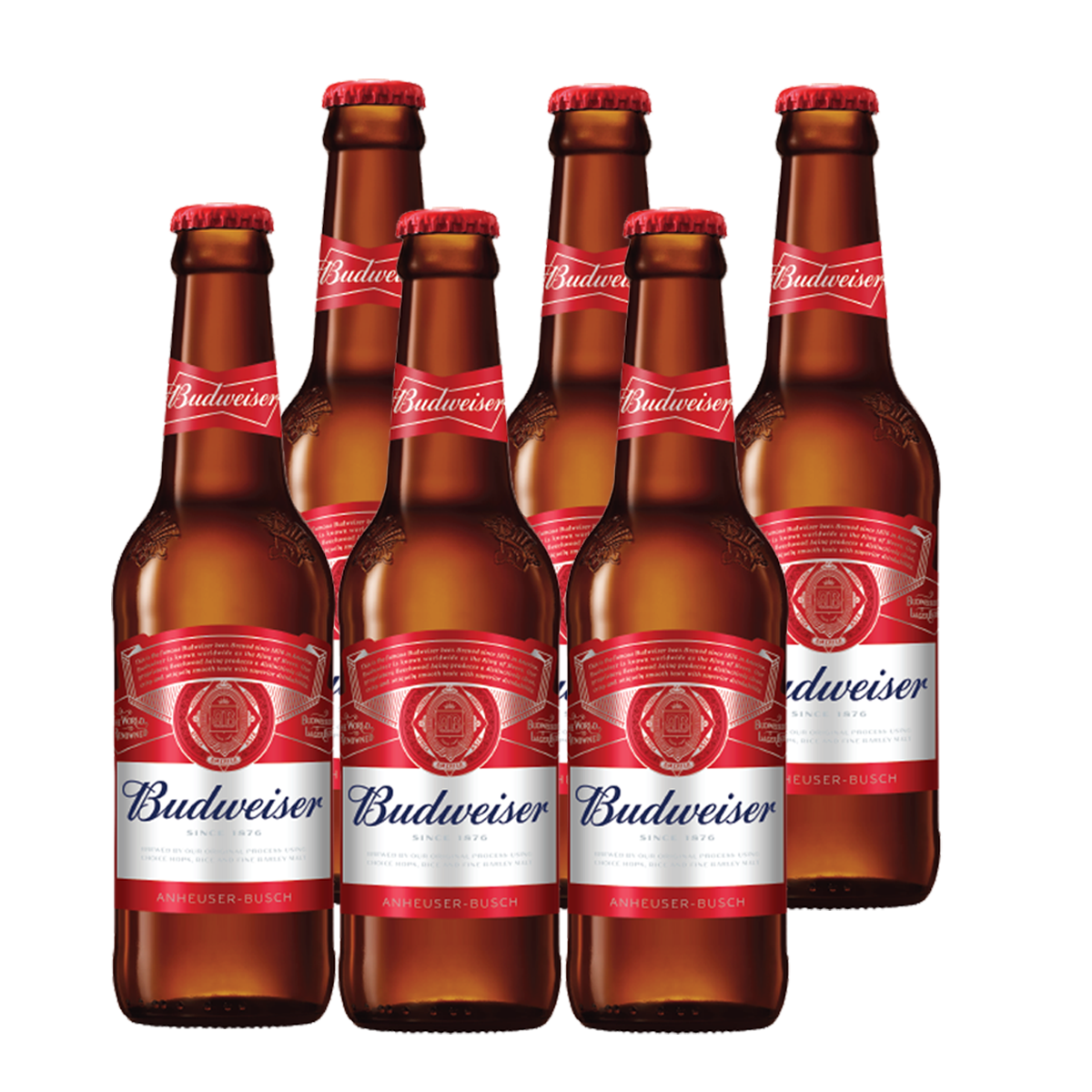 Budweiser Beer 330ml Bottle x 6