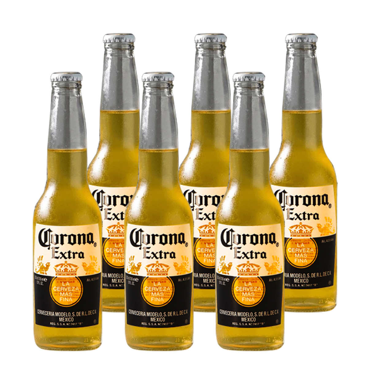 Corona Extra Beer 330ml Bottle x6