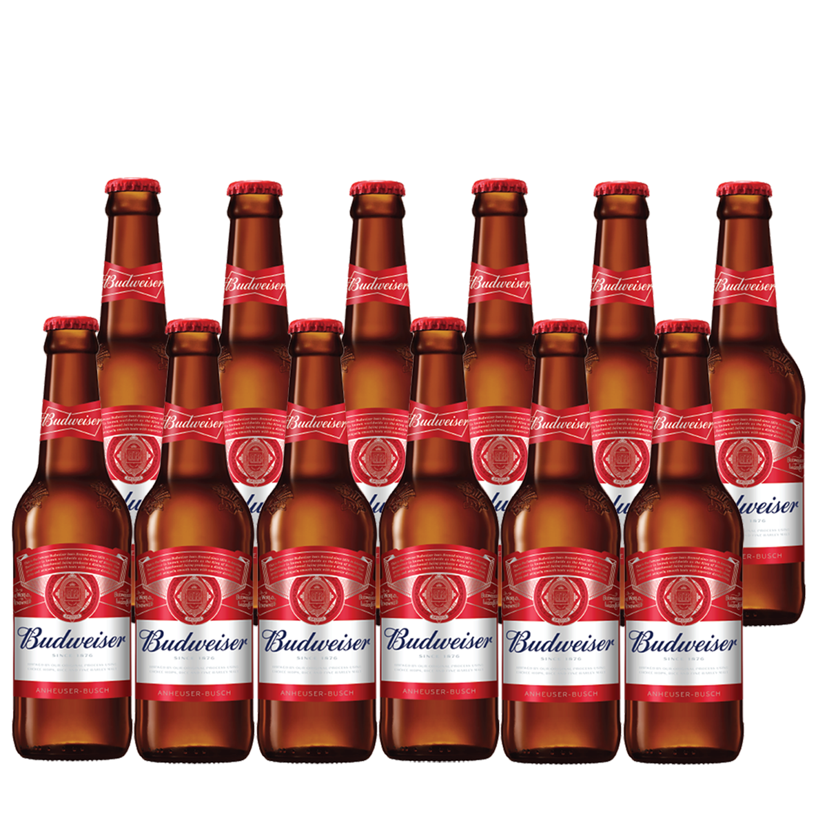 Budweiser Beer 330ml Bottle x12
